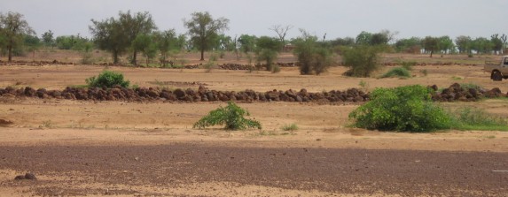 (ph. http://www.ongdba.org)