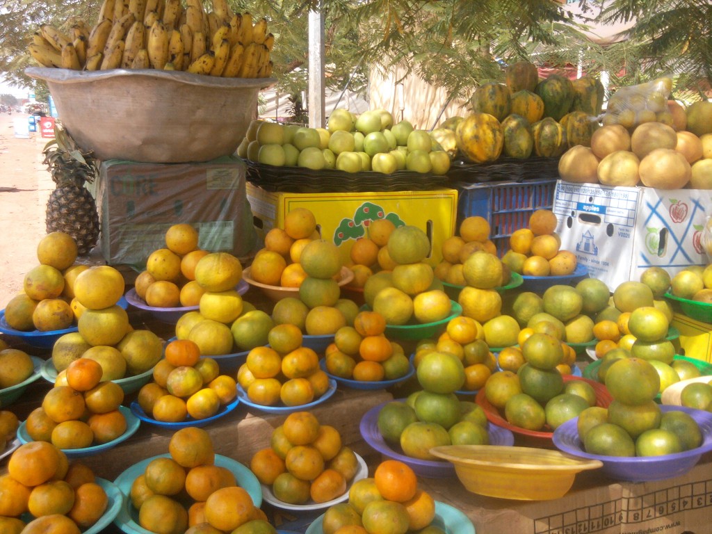 Article : Au Burkina, pourvu qu’il pleuve, ils mangeront