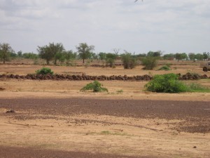 Article : Augmentation du prix du gaz au Burkina : coup dur pour l’environnement