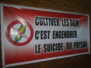Article : Culture du coton OGM, il faut bouter Monsanto hors du Burkina