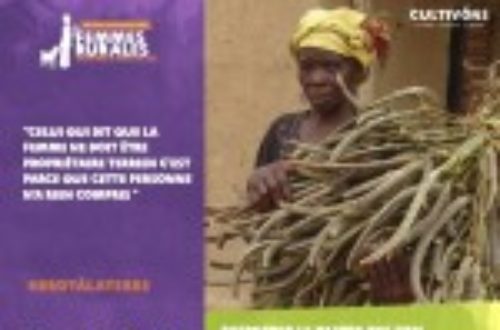 Article : Burkina Faso : droit à l’héritage des terres aménagées pour les femmes rurales