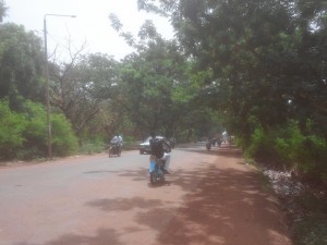 Article : Ouagadougou : 2500 arbres contre du goudron