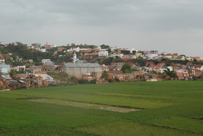 Les rizi&egrave;res c&ocirc;toient les habitations